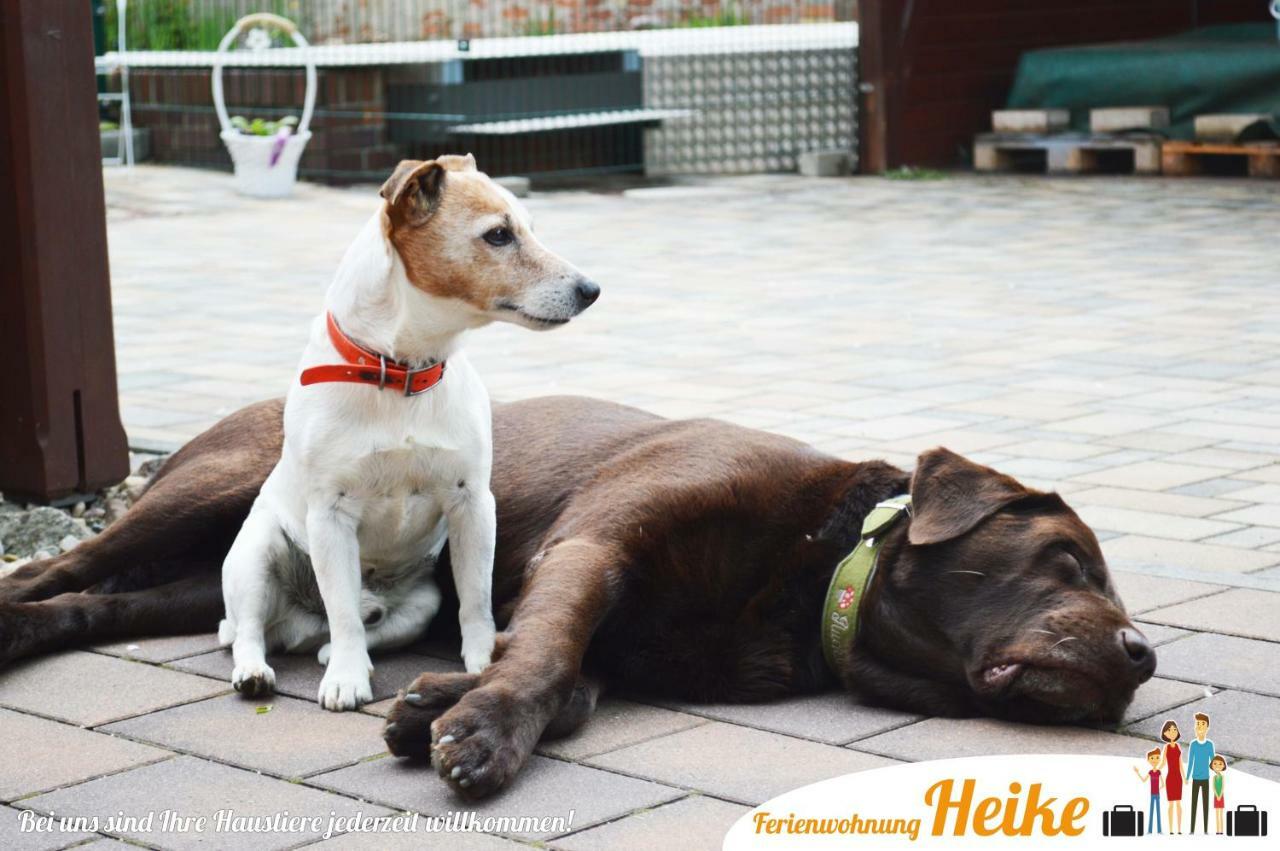 Ferienwohnung Heike Spremberg Bagian luar foto